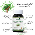 Saw Palmetto Prostanur 1