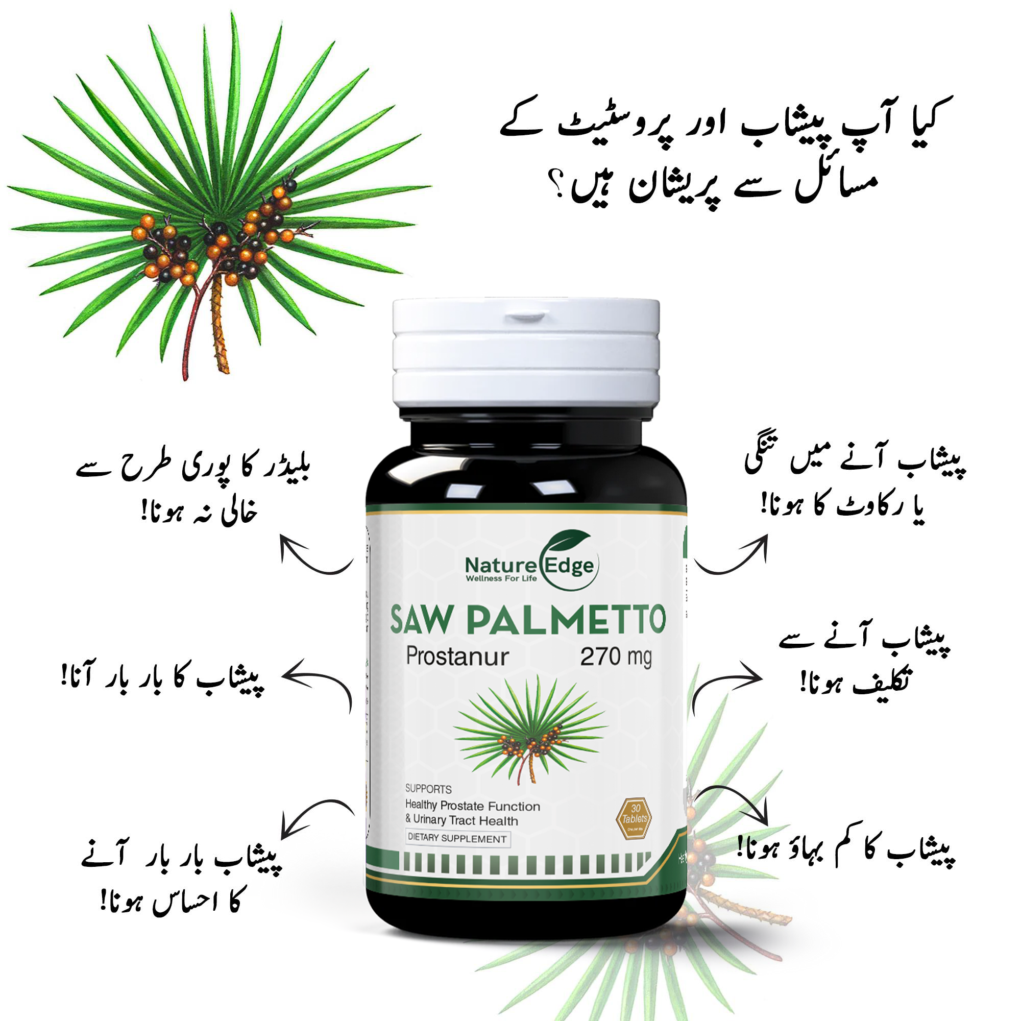 Saw Palmetto Prostanur